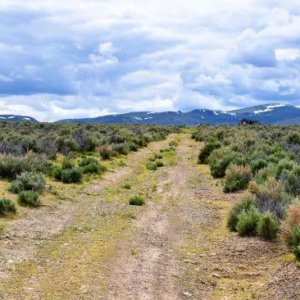 40 Acre Ranch in Elko Nevada! Great Road Access * Rolling Hills Views in Every Direction * Warranty Deed* Mineral Rights * $29,995.00 Sale Price * $695.00 Deposit * $339.00 a month * APN 007-13-005