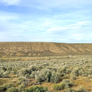 5 Acres- Elko Nevada*  Ruby View Ranchos* Bring your RV* Camp or Build Your Next Home* No HOA * Power* $19,995.00 Sale Price $695.00 Deposit *$289.00 a month *APN 072-003-014