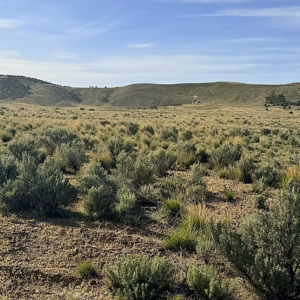 Gold Mining Gem! ***20 Acre Ranch Property * Elko Nevada* Road Access * Amazing Views * Power* $21,995.00 Sale Price $595.00 Deposit * $349.00 a month * APN : 006-56M-014