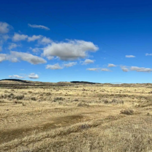 81 Acre Ranch* Winnemucca* Easement* (DOUBLE LOT) Road Access* Next to Hwy 80* Mountain Views* Mineral Rights* $37,995.00 Sale Price *$795.00 Deposit * $369.00 a month * APN :05-0477-7/10