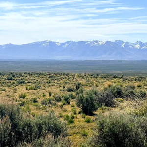 1.03 Acre Ranch Lot in Spring Creek -Elko Nevada* Road Frontage* Spectacular Views* Power* $7,995.00 Sale Price * $595.00 Deposit * $245.00 a month APN: 031-023-016