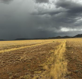 6.60 Acres – Socorro County, New Mexico! Great Access* Stunning Tierra Grande Community~  $11,995.00  Sale Price $595.00 Deposit $369.00 a month *APN : R039386