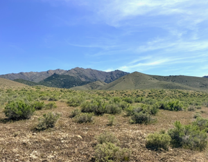 Rare Spectacular 160 Acres in Imlay NV-Summit Spring/Buffalo Mountain * Surrounded by BLM* Road Access * Water -Summit Spring * $119,995.00 Sale Price * $995.00 Deposit * $1,395.00 a month* APN: 009-370-02