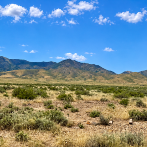Discover wide-open Nevada living on this 124-acre high-desert ranch in Antelope Valley, Pershing County. The property is made up of three 40.57-acre parcels, with two parcels adjoining and a third positioned side-adjacent, offering a versatile layout for ranching, recreation, privacy, or future planning. APN : 015-300-11 and 015-300-10 / 015-300-13(3 parcels)