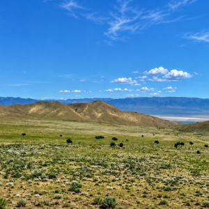 Discover wide-open Nevada living on this 124-acre high-desert ranch in Antelope Valley, Pershing County. The property is made up of three 40.57-acre parcels, with two parcels adjoining and a third positioned side-adjacent, offering a versatile layout for ranching, recreation, privacy, or future planning. APN : 015-300-11 and 015-300-10 / 015-300-13(3 parcels)