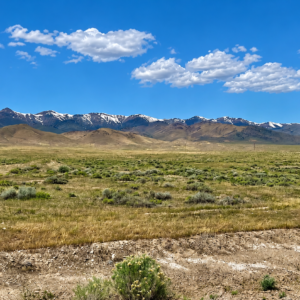 Discover wide-open Nevada living on this 124-acre high-desert ranch in Antelope Valley, Pershing County. The property is made up of three 40.57-acre parcels, with two parcels adjoining and a third positioned side-adjacent, offering a versatile layout for ranching, recreation, privacy, or future planning. APN : 015-300-11 and 015-300-10 / 015-300-13(3 parcels)
