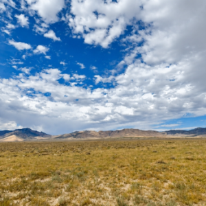 40 Acres for Sale in Lucin, Utah – Mountain Views (Box Elder County)