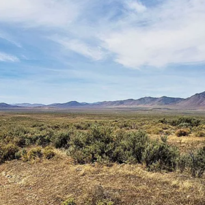 210 Acres in Pershing County, NV – Summit Spring / Buffalo Mountain, Surrounded by BLM, Road Access, Yearly Ponds and Creek