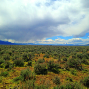Welcome to Fallon Nevada (Churchill County) & 80 Acres surrounded by BLM Land! Amazing road access and your next home in Nevada! APN: 009-371-70