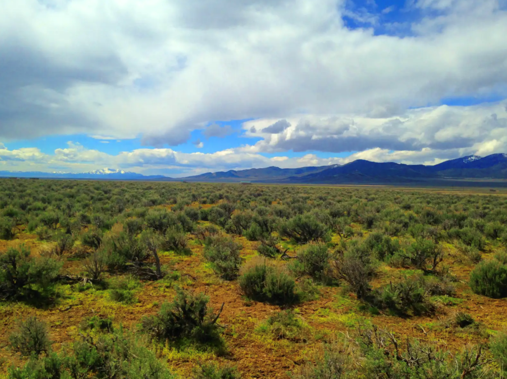 Discover your dream sanctuary on this expansive 40-acre private ranch located in the picturesque setting in Nevada, conveniently accessible right off the highway. With a prime spot along Highway 80, you can enjoy incredible views and easy easement access! This is a rare opportunity to claim your own piece of paradise—an ideal backdrop for building that tranquil ranch you’ve always envisioned.