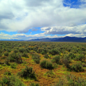 Discover your dream sanctuary on this expansive 40-acre private ranch located in the picturesque setting in Nevada, conveniently accessible right off the highway. With a prime spot along Highway 80, you can enjoy incredible views and easy easement access! This is a rare opportunity to claim your own piece of paradise—an ideal backdrop for building that tranquil ranch you’ve always envisioned.