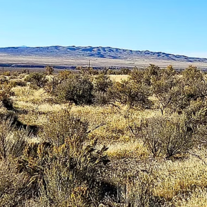1.69 Acres with Power on the Property | Humboldt River Ranch | Breathtaking Mountain Views! APN: 010-571-08