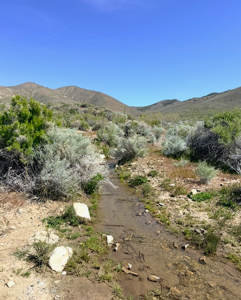 Own your own piece of the American West! This incredible 210-acre property, comprised of a 160-acre parcel and an adjoining 50-acre parcel (APN 009-370-03), offers a rare opportunity to own a massive stretch of Northern Nevada surrounded by thousands of acres of Bureau of Land Management (BLM) land. If you've been searching for privacy, breathtaking scenery, abundant wildlife, and limitless possibilities, this is the property you've been waiting for. APN 009-370-02