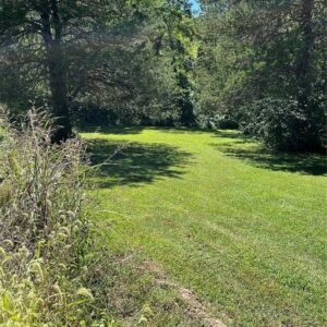 Arkansas Residential Property – Helena-West Helena, AR (Phillips County) — Power, Water, Sewer & Road Frontage