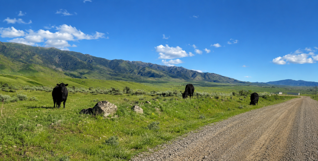 1.55 Acres with Power on the Property | Humboldt River Ranch | Breathtaking Mountain Views! APN: 010-543-12