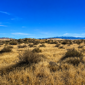 A TRUE DIAMOND IN THE DESERT — 4.87 ACRES JUST MINUTES FROM WINNEMUCCA! 4.87 beautiful Nevada acres with wide-open skies, incredible mountain views, plenty of room to spread out, and downtown Winnemucca just minutes away. Whether you’re dreaming about your future homesite, weekend escape, recreational basecamp, or Nevada land investment, this property is loaded with potential. APN: 014-0231-11