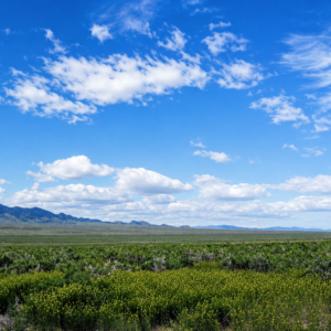 Here’s your opportunity to own 20 incredible acres of wide-open Nevada land in beautiful Elko County, near historic Montello!  Farm & Agricultural, Residential These two adjoining 10-acre parcels are being offered together, giving you a full 20 acres of space, privacy, freedom, and investment potential. Imagine waking up to huge mountain views, endless blue skies, spectacular sunsets, and miles of open country right outside your door. APN: 010-35A-024 & 010-35A-031