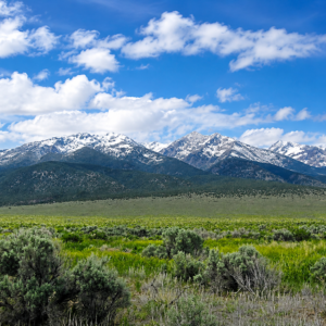 Here’s your opportunity to own 20 incredible acres of wide-open Nevada land in beautiful Elko County, near historic Montello!  Farm & Agricultural, Residential These two adjoining 10-acre parcels are being offered together, giving you a full 20 acres of space, privacy, freedom, and investment potential. Imagine waking up to huge mountain views, endless blue skies, spectacular sunsets, and miles of open country right outside your door. APN: 010-35A-024 & 010-35A-031