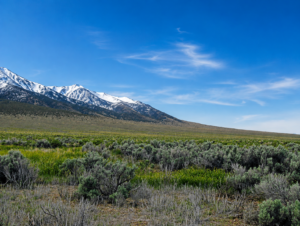 Here’s your opportunity to own 20 incredible acres of wide-open Nevada land in beautiful Elko County, near historic Montello!  Farm & Agricultural, Residential These two adjoining 10-acre parcels are being offered together, giving you a full 20 acres of space, privacy, freedom, and investment potential. Imagine waking up to huge mountain views, endless blue skies, spectacular sunsets, and miles of open country right outside your door. APN: 010-35A-024 & 010-35A-031