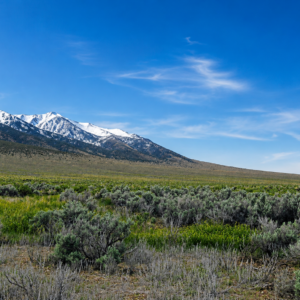 Here’s your opportunity to own 20 incredible acres of wide-open Nevada land in beautiful Elko County, near historic Montello!  Farm & Agricultural, Residential These two adjoining 10-acre parcels are being offered together, giving you a full 20 acres of space, privacy, freedom, and investment potential. Imagine waking up to huge mountain views, endless blue skies, spectacular sunsets, and miles of open country right outside your door. APN: 010-35A-024 & 010-35A-031