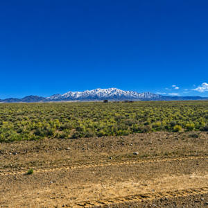 Here’s your opportunity to own 20 incredible acres of wide-open Nevada land in beautiful Elko County, near historic Montello!  Farm & Agricultural, Residential These two adjoining 10-acre parcels are being offered together, giving you a full 20 acres of space, privacy, freedom, and investment potential. Imagine waking up to huge mountain views, endless blue skies, spectacular sunsets, and miles of open country right outside your door. APN: 010-35A-024 & 010-35A-031