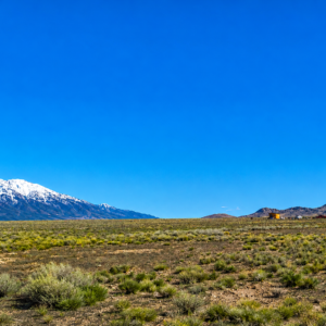 Here’s your opportunity to own 20 incredible acres of wide-open Nevada land in beautiful Elko County, near historic Montello!  Farm & Agricultural, Residential These two adjoining 10-acre parcels are being offered together, giving you a full 20 acres of space, privacy, freedom, and investment potential. Imagine waking up to huge mountain views, endless blue skies, spectacular sunsets, and miles of open country right outside your door. APN: 010-35A-024 & 010-35A-031