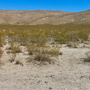 Escape the grid and step into the ultimate frontier of true American freedom with this incredible 0.5-acre high-desert paradise! Nestled in a highly sought-after, unincorporated zone with absolutely no county zoning, zero HOA restrictions, and no building inspections, this parcel gives you 100% complete autonomy to shape your land exactly as you wish APN: 221217
