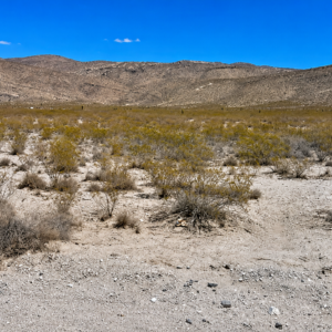 Escape the grid and step into the ultimate frontier of true American freedom with this incredible 0.5-acre high-desert paradise! Nestled in a highly sought-after, unincorporated zone with absolutely no county zoning, zero HOA restrictions, and no building inspections, this parcel gives you 100% complete autonomy to shape your land exactly as you wish APN: 221217