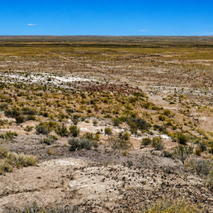 Immerse yourself in the breathtaking beauty of wide-open spaces with this exceptional 15 acre property located in Navajo County- Joseph City  Arizona. APN:  104-42-010C