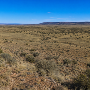 Immerse yourself in the breathtaking beauty of wide-open spaces with this exceptional 15 acre property located in Navajo County- Joseph City  Arizona. APN:  104-42-010C