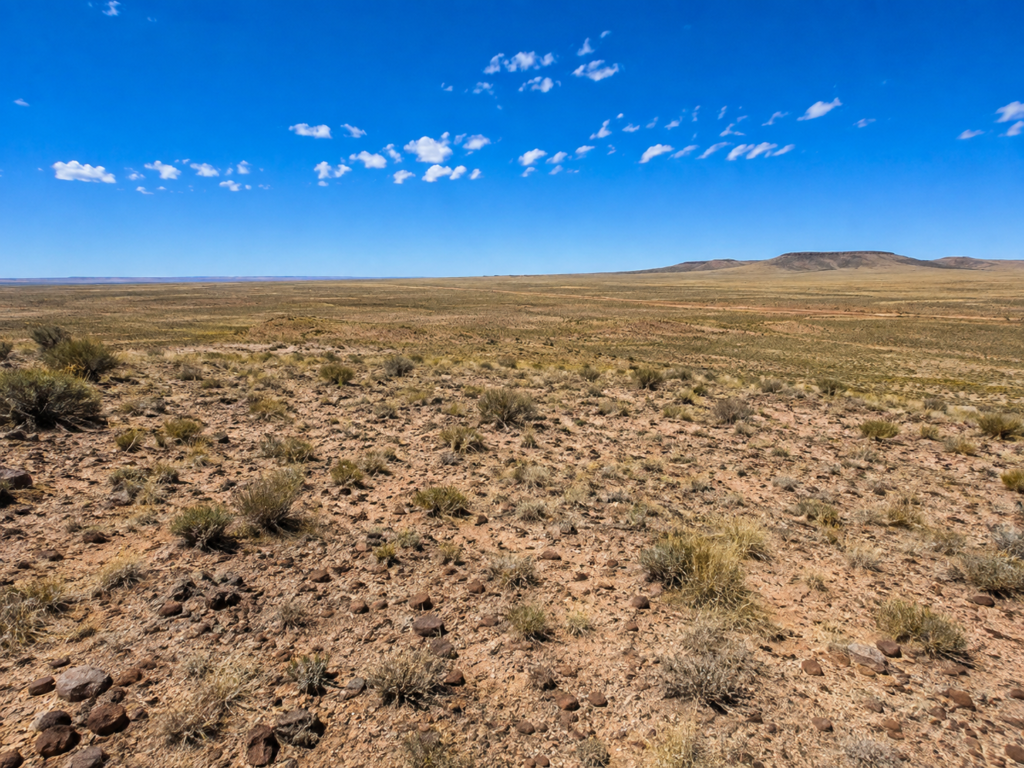 Immerse yourself in the breathtaking beauty of wide-open spaces with this exceptional 15 acre property located in Navajo County- Joseph City  Arizona. APN:  104-42-010C