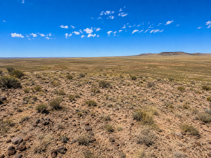 Immerse yourself in the breathtaking beauty of wide-open spaces with this exceptional 15 acre property located in Navajo County- Joseph City  Arizona. APN:  104-42-010C