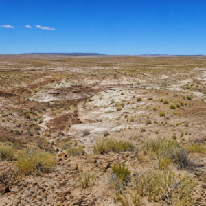 Immerse yourself in the breathtaking beauty of wide-open spaces with this exceptional 15 acre property located in Navajo County- Joseph City  Arizona. APN:  104-42-010C