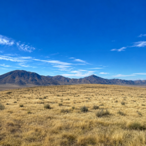 Discover wide-open Nevada living on this 124-acre high-desert ranch in Antelope Valley, Pershing County. The property is made up of three 40.57-acre parcels, with two parcels adjoining and a third positioned side-adjacent, offering a versatile layout for ranching, recreation, privacy, or future planning. APN : 015-300-11 and 015-300-10 / 015-300-13(3 parcels)