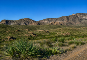 El Paso Texas .50 Acres with road access mineral and oil rights! Incredible 0.5-acre high-desert paradise! Nestled in a highly sought-after, unincorporated zone with absolutely no county zoning, zero HOA restrictions, and no building inspections, this parcel gives you 100% complete autonomy to shape your land exactly as you wish.