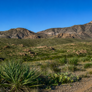 El Paso Texas .50 Acres with road access mineral and oil rights! Incredible 0.5-acre high-desert paradise! Nestled in a highly sought-after, unincorporated zone with absolutely no county zoning, zero HOA restrictions, and no building inspections, this parcel gives you 100% complete autonomy to shape your land exactly as you wish.