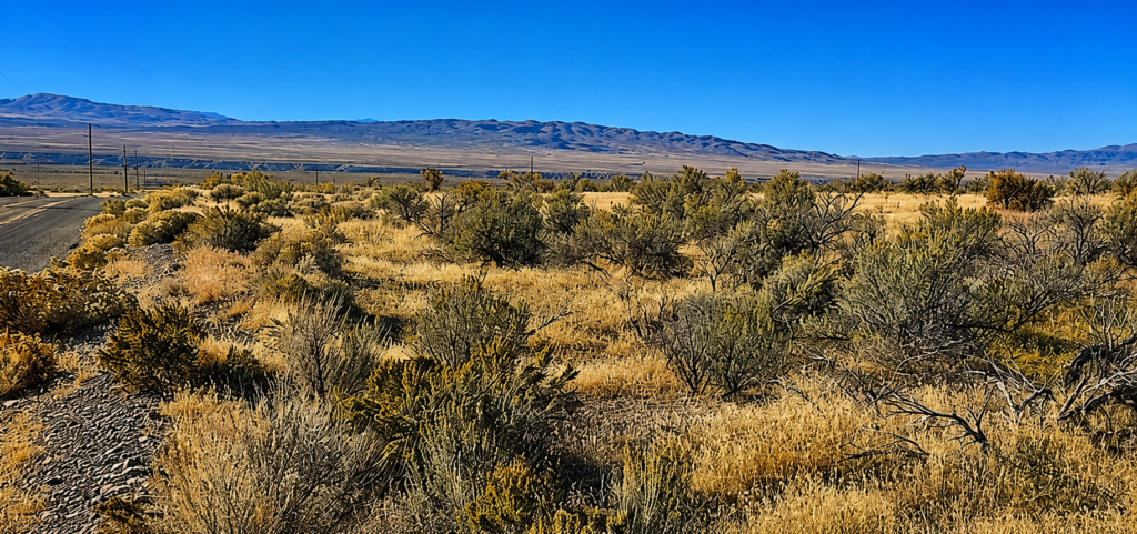 1.69 Acres with Power on the Property | Humboldt River Ranch | Breathtaking Mountain Views! APN: 010-571-08