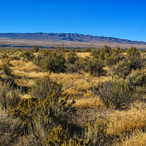 1.69 Acres with Power on the Property | Humboldt River Ranch | Breathtaking Mountain Views! APN: 010-571-08