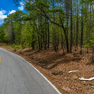 Greers Ferry Lake Lot – Van Buren County, Arkansas — Walk to Lake, Power at the Property, Road Frontage  APN: 4050-08098-0000