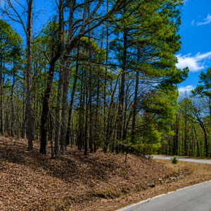 Greers Ferry Lake Lot – Van Buren County, Arkansas — Walk to Lake, Power at the Property, Road Frontage  APN: 4050-08098-0000