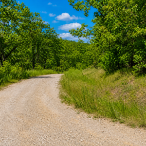 Discover a stunning 14,230 square foot residential lot situated near the serene Lake Omaha, ready for you to create your dream home or set up a cozy mobile home. Nestled in the picturesque community of Cherokee Village, this location serves as the perfect backdrop for your next adventure in the beautiful Arkansas Ozarks. APN #  	210-14119-000
