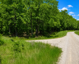 Discover a stunning 14,230 square foot residential lot situated near the serene Lake Omaha, ready for you to create your dream home or set up a cozy mobile home. Nestled in the picturesque community of Cherokee Village, this location serves as the perfect backdrop for your next adventure in the beautiful Arkansas Ozarks. APN #  	210-14119-000