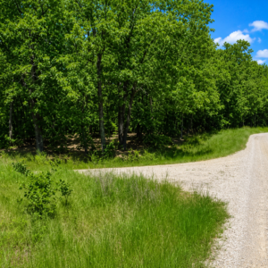 Discover a stunning 14,230 square foot residential lot situated near the serene Lake Omaha, ready for you to create your dream home or set up a cozy mobile home. Nestled in the picturesque community of Cherokee Village, this location serves as the perfect backdrop for your next adventure in the beautiful Arkansas Ozarks. APN #  	210-14119-000