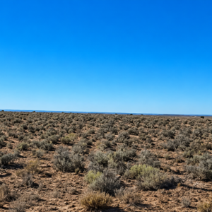 40 Acres in Apache County, AZ – Great Investment, Direct Road Frontage, Seamless Access