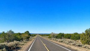 40 Acres in Apache County, AZ – Great Investment, Direct Road Frontage, Seamless Access