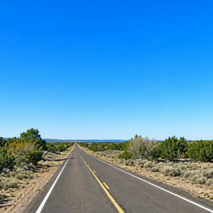 40 Acres in Apache County, AZ – Great Investment, Direct Road Frontage, Seamless Access
