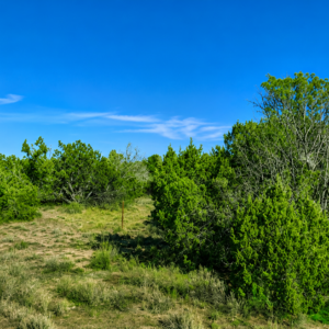 Immerse yourself in the breathtaking beauty of wide-open spaces with this exceptional 40-acre property located in the heart of Apache County, Arizona. APN: 205-27-070