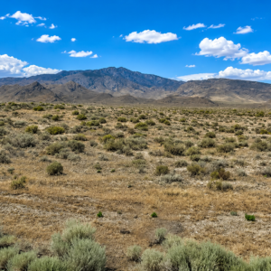 Embrace the tranquility of 40.32 acres in LOVELOCK NEVADA- Buena Vista Valley of untamed beauty in Pershing County, Nevada—a true escape from the chaos of daily life. APN: 015-290-08