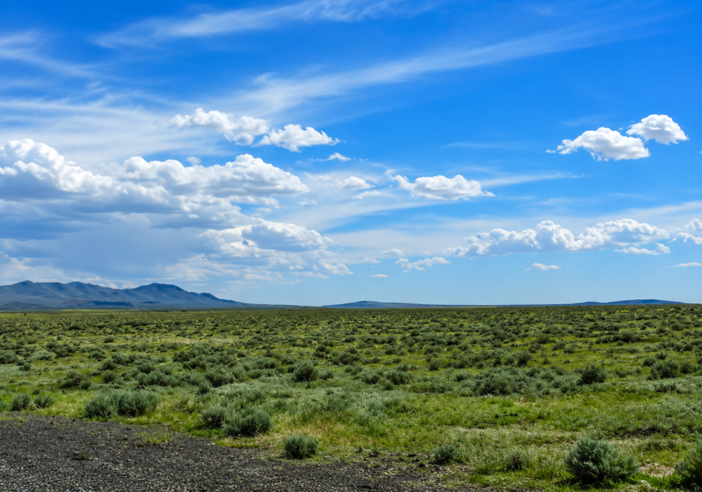 Embrace the tranquility of 40.32 acres in LOVELOCK NEVADA- Buena Vista Valley of untamed beauty in Pershing County, Nevada—a true escape from the chaos of daily life. APN: 015-290-08