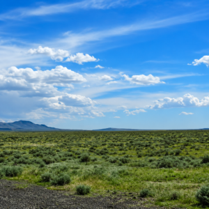 Embrace the tranquility of 40.32 acres in LOVELOCK NEVADA- Buena Vista Valley of untamed beauty in Pershing County, Nevada—a true escape from the chaos of daily life. APN: 015-290-08